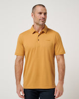 Spruce Yellow