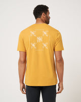 Spruce Yellow