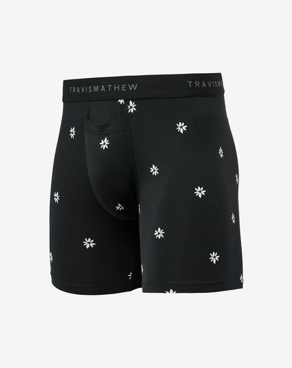 Rome Around Boxer