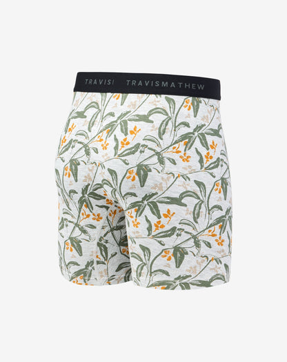 Relationship Status Boxer