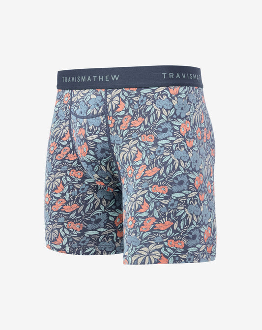 Day Cruise Boxer