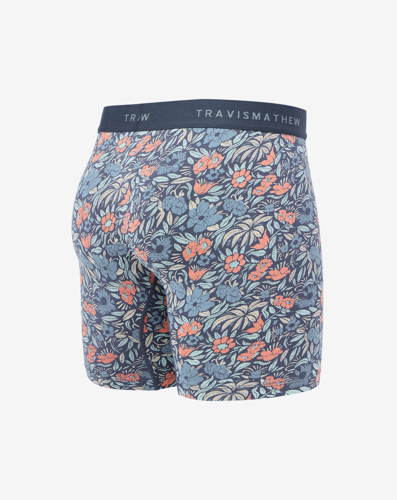 Day Cruise Boxer