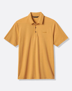 Spruce Yellow
