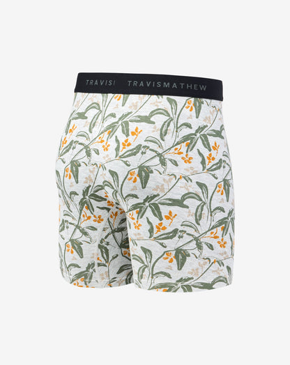 Relationship Status Boxer