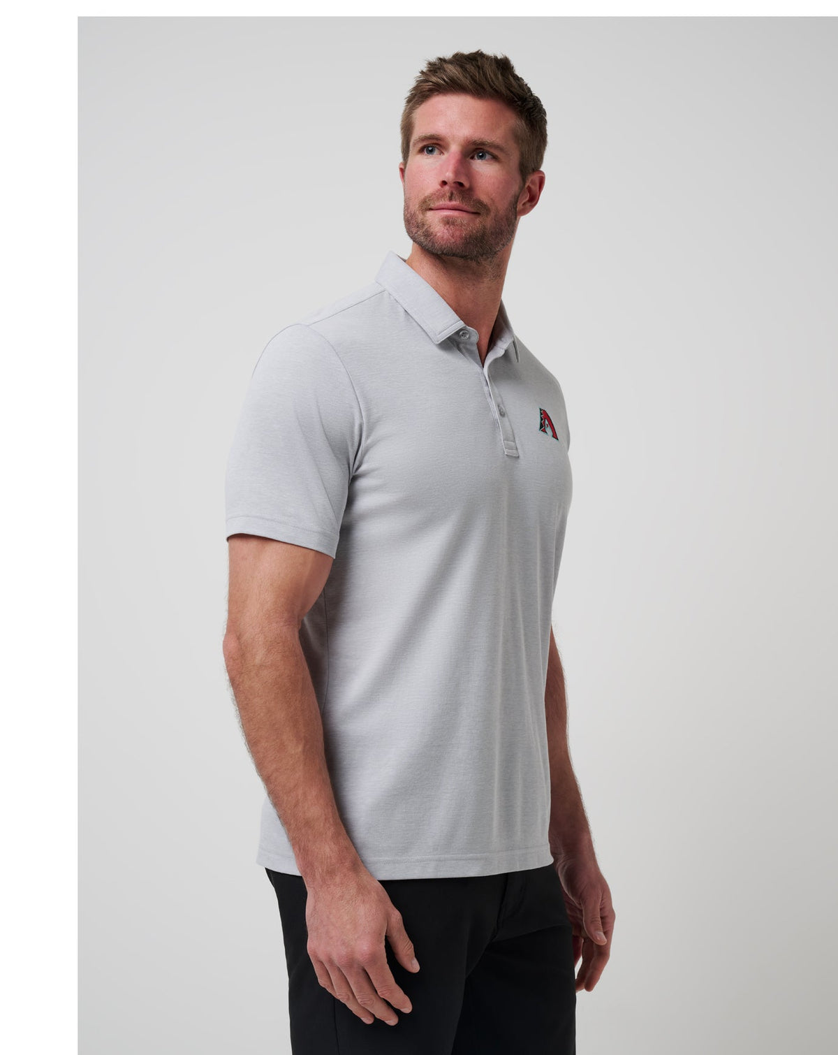 Arizona Diamondbacks Playoff Pitch Polo