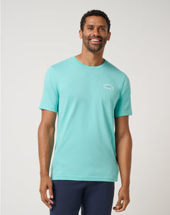 Bright Aqua