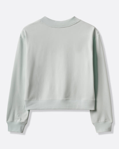 Cloud Fleece V Neck Pullover