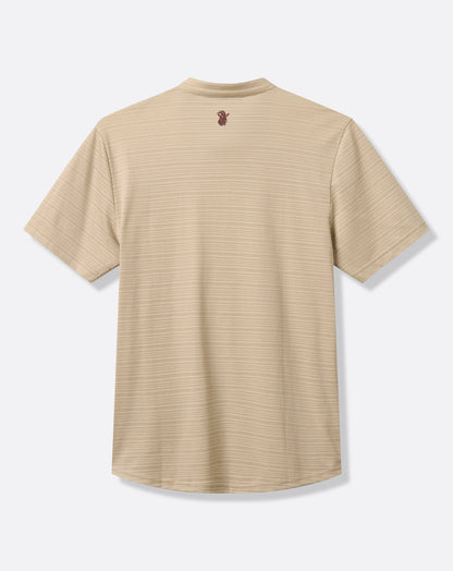 Big Hit Polo