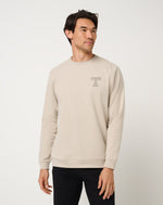 UT Texas Campus Hero Pullover